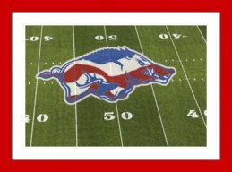 JVrazorback